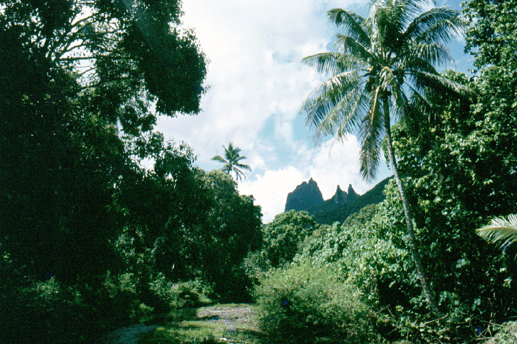 01 Moorea 0012